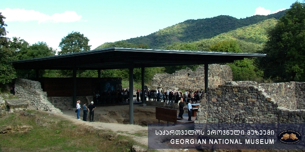 Dmanisi Museum-Reserve